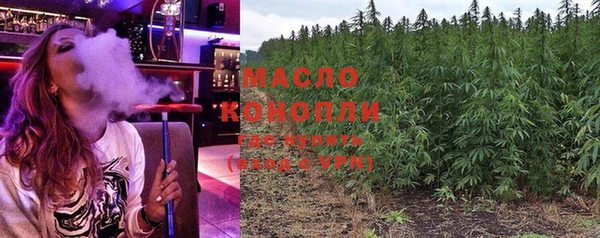 гидра Гусев