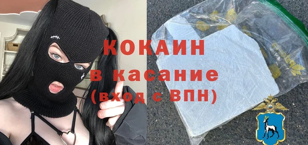 гидра Гусев