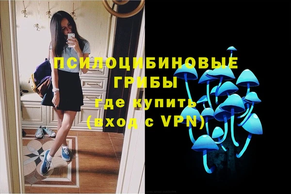 гидра Гусев