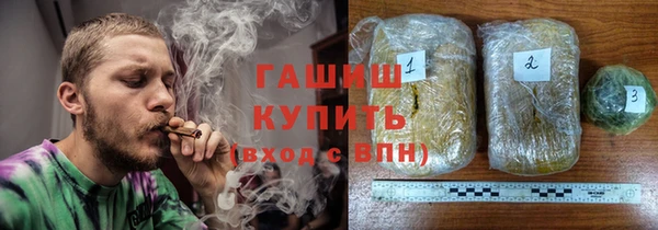 гидра Гусев
