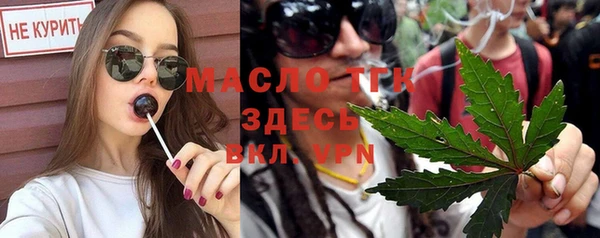 гидра Гусев