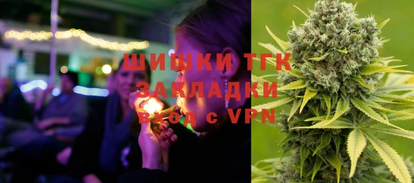 гидра Гусев
