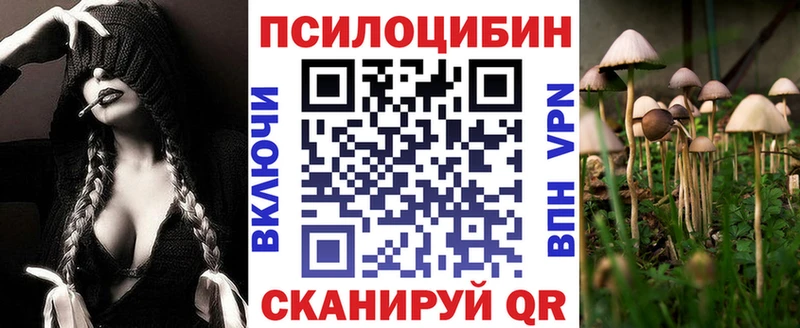 Псилоцибиновые грибы GOLDEN TEACHER Дубовка