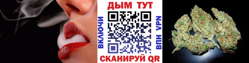 где можно купить наркотик  Дубовка  Конопля семена 